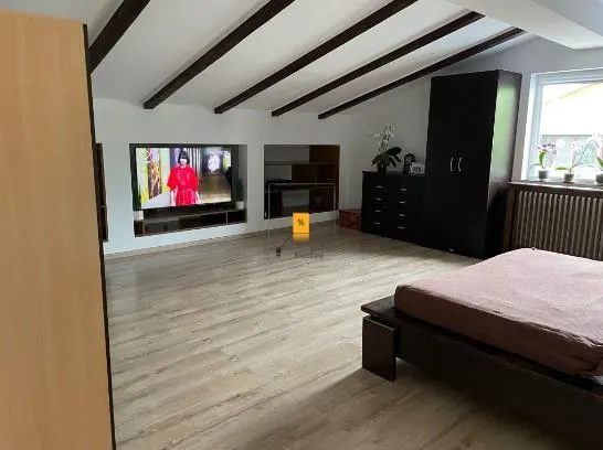Casa 6 camere zona B-dul Bucuresti - foto 2