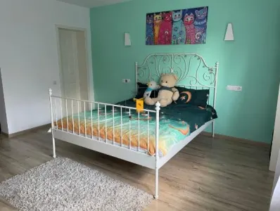 Casa 6 camere zona B-dul Bucuresti - foto 6