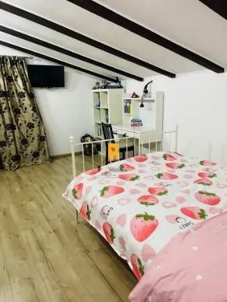 Casa 6 camere zona B-dul Bucuresti - foto 8