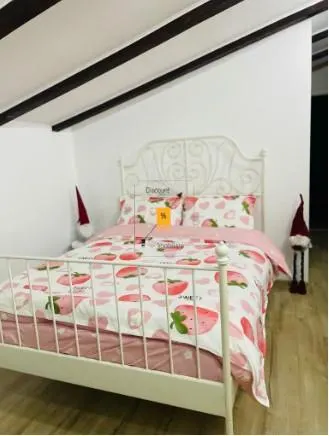 Casa 6 camere zona B-dul Bucuresti - foto 9