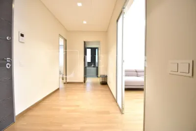 Inchiriere apartament I Primaverii - foto 11