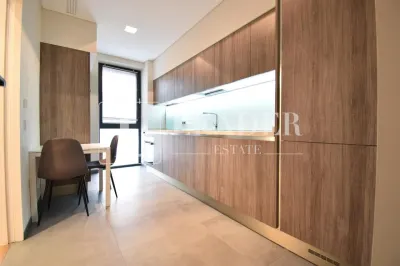 Inchiriere apartament I Primaverii - foto 17
