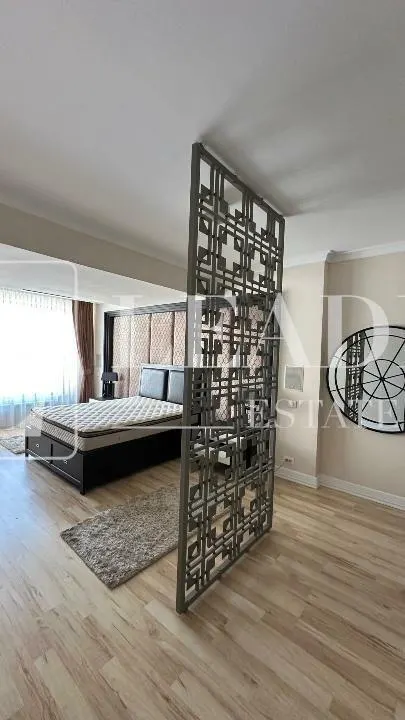 Inchiriere penthouse triplex I Herastrau - foto 12