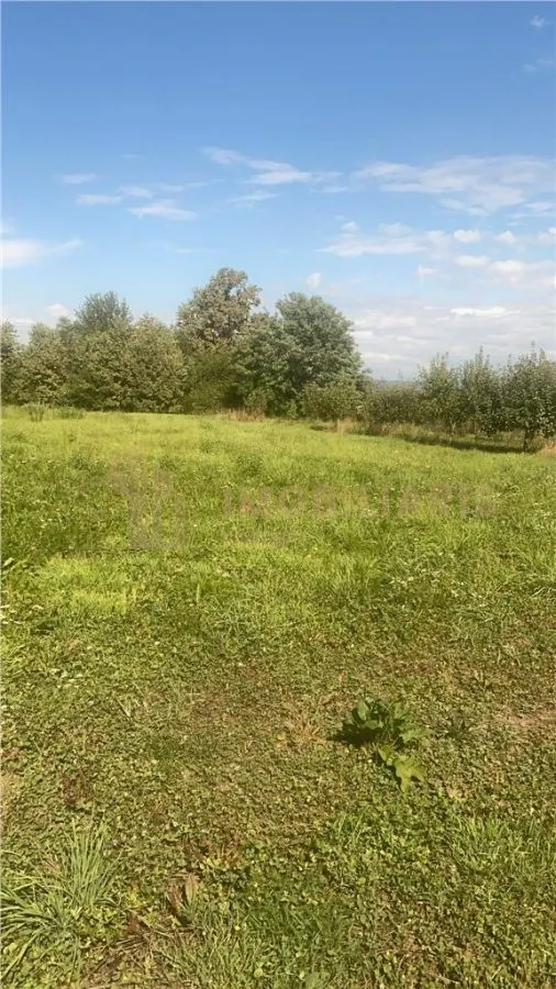 Teren intravilan 80 ari cu posibilitate de parcelare, Ardusat - foto 1