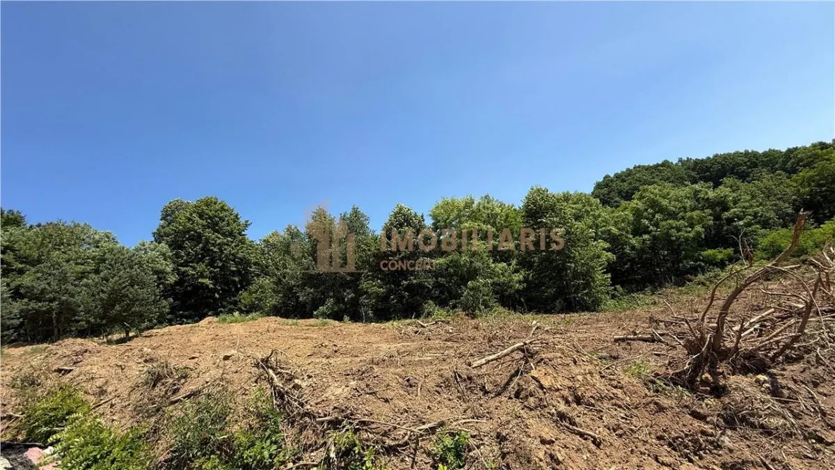 Parcele 10 si 15 ari teren intravilan, zona Grivitei - foto 5