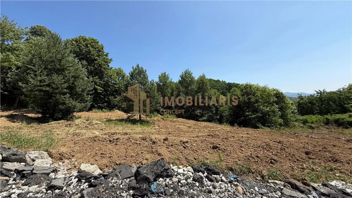 Parcele 10 si 15 ari teren intravilan, zona Grivitei - foto 8