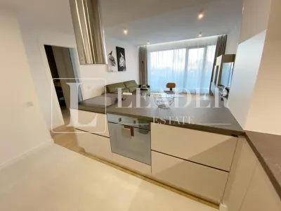 Inchiriere apartament I Herastrau - foto 15