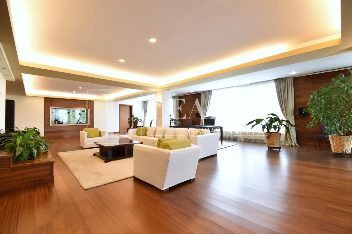 Penthouse spectaculos I Herastrau - foto 1