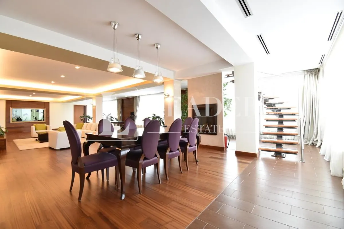 Penthouse spectaculos I Herastrau - foto 11
