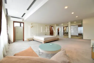 Penthouse spectaculos I Herastrau - foto 18