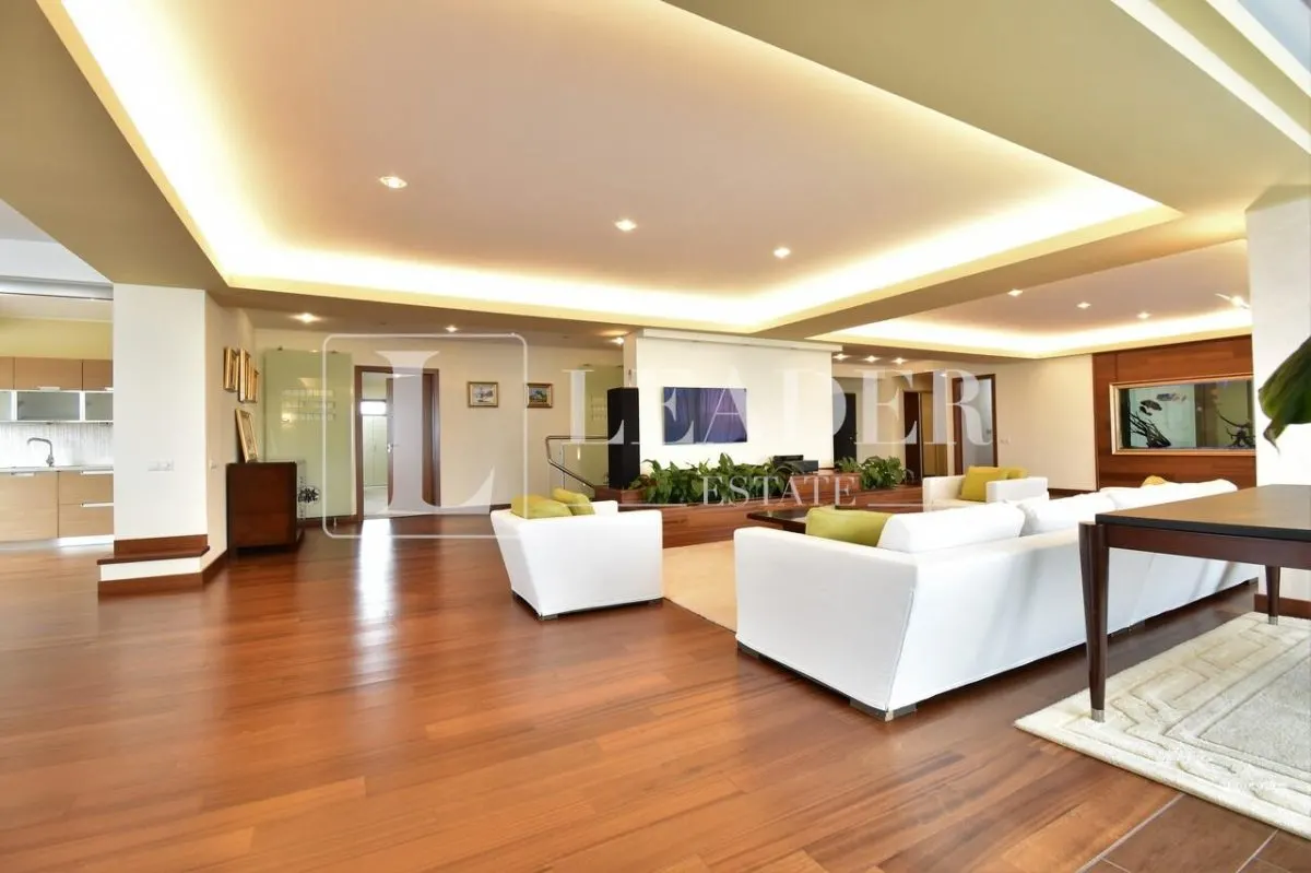 Penthouse spectaculos I Herastrau - foto 3