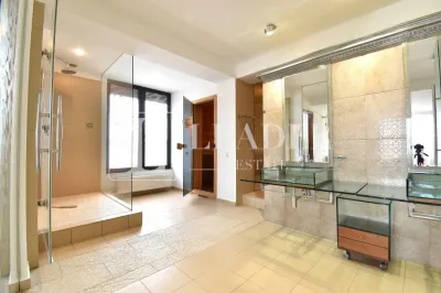 Penthouse spectaculos I Herastrau - foto 21