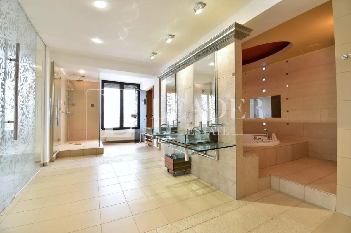 Penthouse spectaculos I Herastrau - foto 22