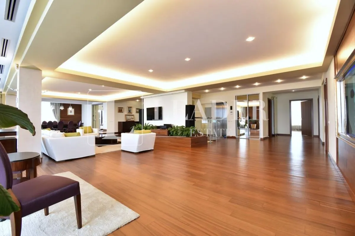 Penthouse spectaculos I Herastrau - foto 6