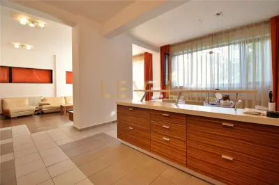 Vila de LUX Soseaua Nordului - Pretabil Resedinta Ambasada Herastrau [PREZENTARE VIDEO] - foto 6