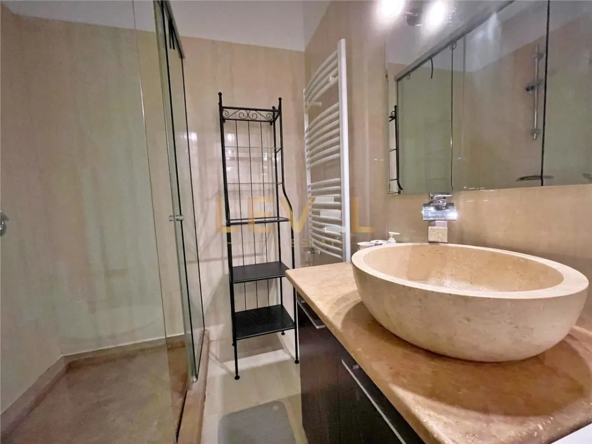 Apartament spatios cu 2 camere de inchiriat - Herastrau - foto 11
