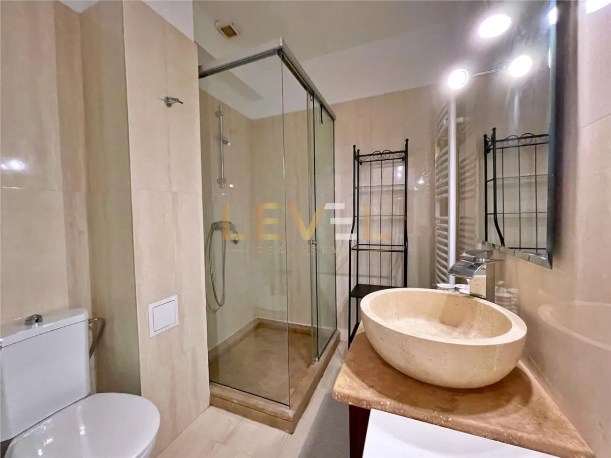 Apartament spatios cu 2 camere de inchiriat - Herastrau - foto 10