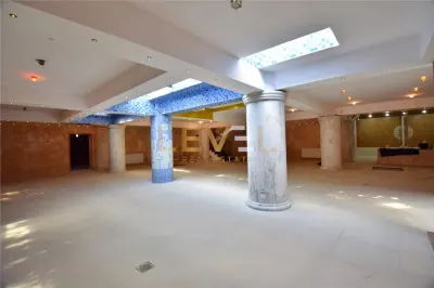 Vila de inchiriat cu 14 camere pentru birouri / Resedinta ambasada / Firma - Herastrau [VIDEO] - foto 23