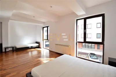 Apartament spatios cu 2 camere de inchiriat Herastrau Nordului - foto 9