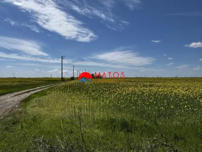 Teren de vanzare in Baicoi â€“ DN1 | 5.000 mp - foto 3
