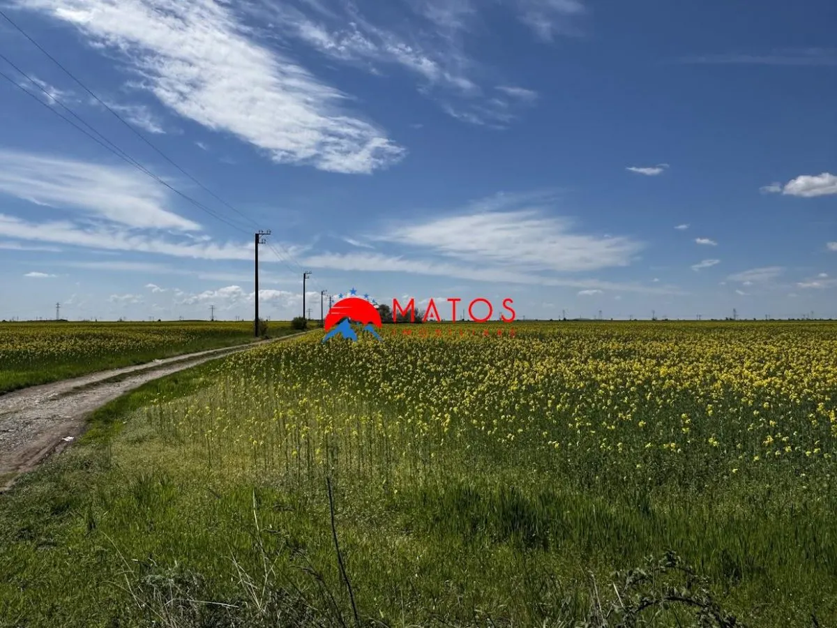 Teren de vanzare in Baicoi â€“ DN1 | 5.000 mp - foto 3