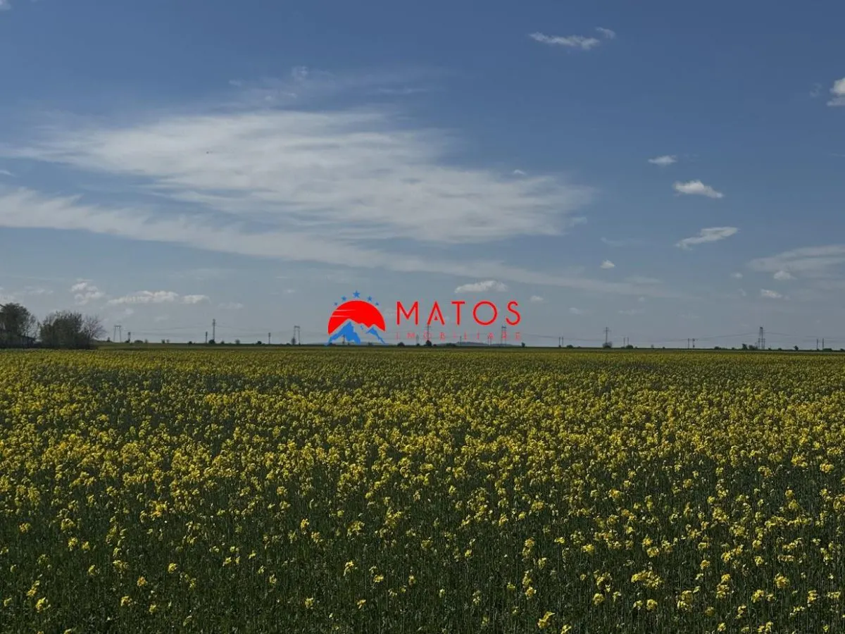 Teren de vanzare in Baicoi â€“ DN1 | 5.000 mp - foto 4