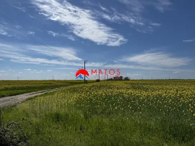 Teren de vanzare in Baicoi â€“ DN1 | 5.000 mp - foto 8