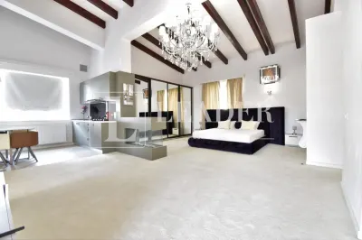 Inchiriere duplex I Herastrau - Soseaua Nordului - foto 18
