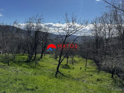 Casa de vanzare Comarnic Ghiosesti | 3.025 mp | 49.000 â‚¬ FIX | 0% comision - foto 4