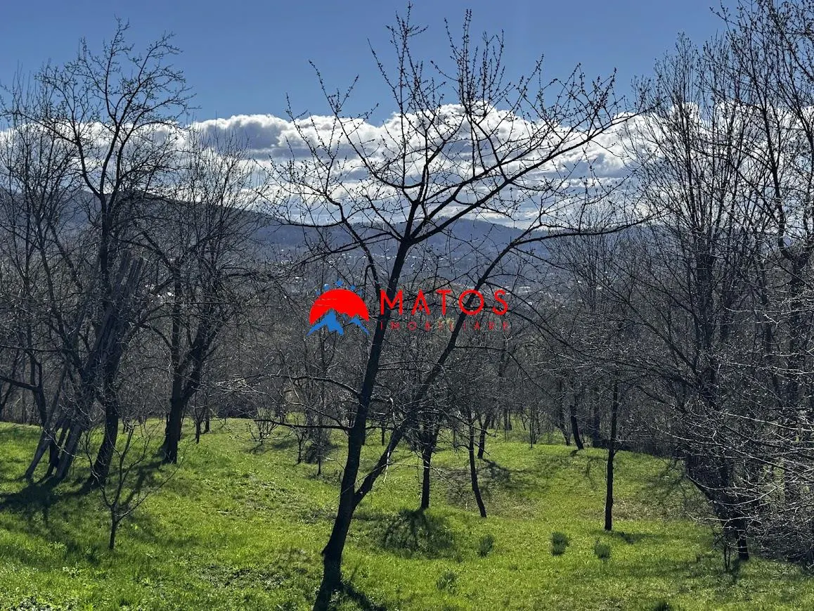Casa de vanzare Comarnic Ghiosesti | 3.025 mp | 49.000 â‚¬ FIX | 0% comision - foto 8
