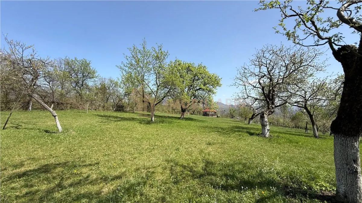 Teren intravilan, 1 ha, Unguras - foto 1