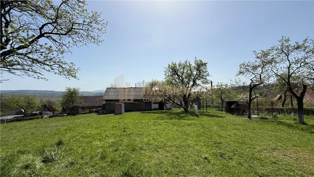 Teren intravilan, 1 ha, Unguras - foto 2