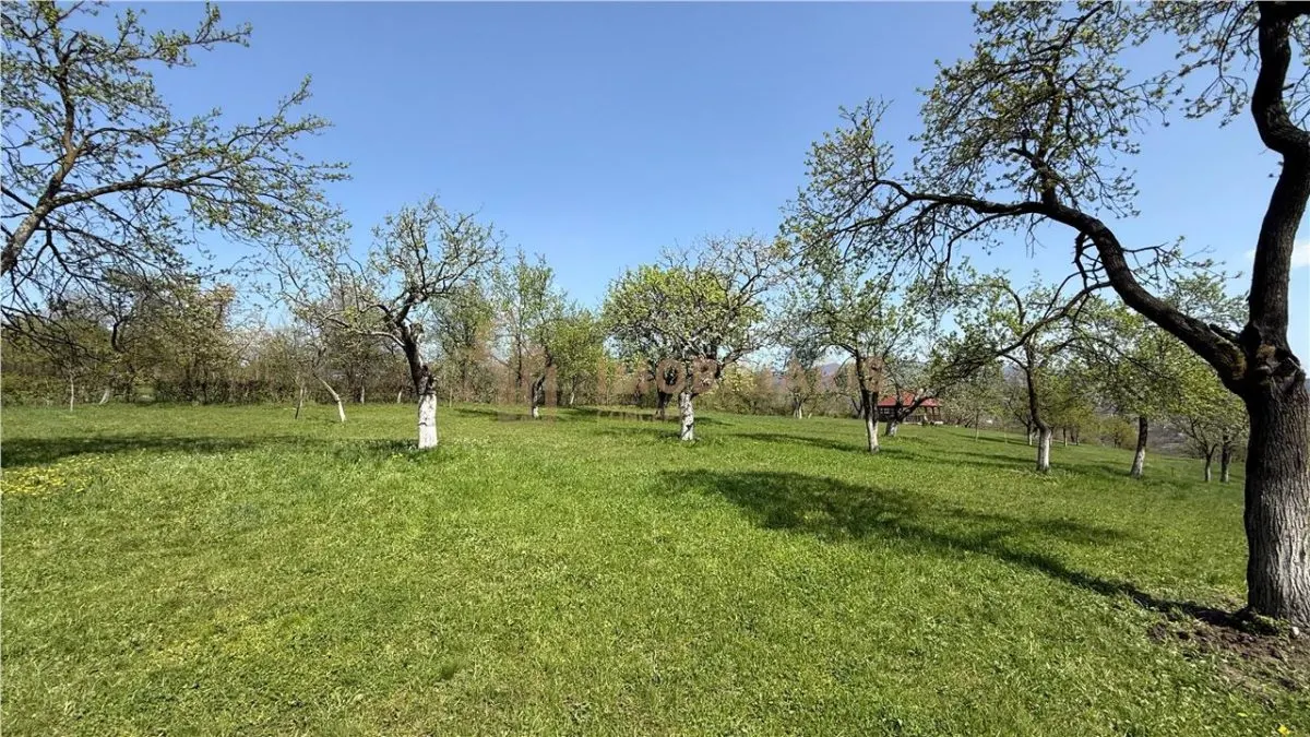 Teren intravilan, 1 ha, Unguras - foto 4