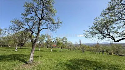 Teren intravilan, 1 ha, Unguras - foto 5