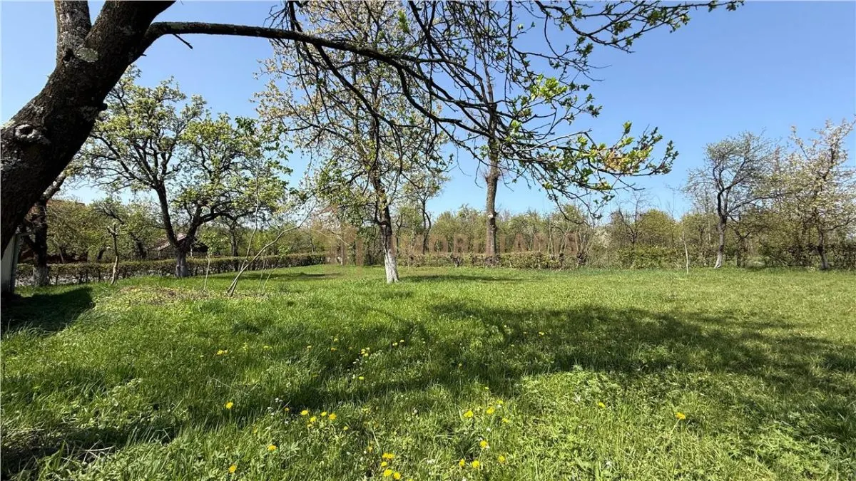 Teren intravilan, 1 ha, Unguras - foto 6