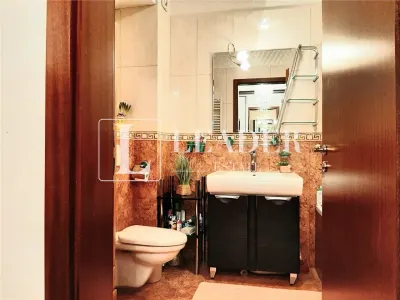 Inchiriere Duplex cu gradina I Herastrau - foto 10