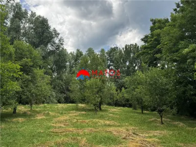 Teren intravilan 2.115 mp de vânzare Breaza, Prahova | 0% comision - Breaza