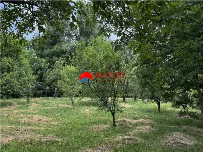 Teren intravilan 2.115 mp de vânzare Breaza, Prahova | 0% comision - foto 12