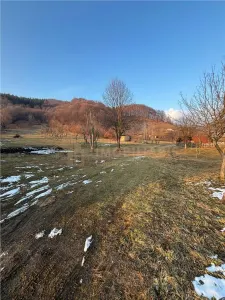Teren ,28 ari in Firiza - Firiza