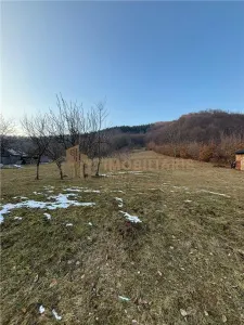 Teren ,28 ari in Firiza - foto 2