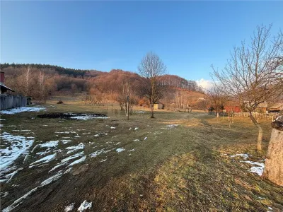 Teren ,28 ari in Firiza - foto 3