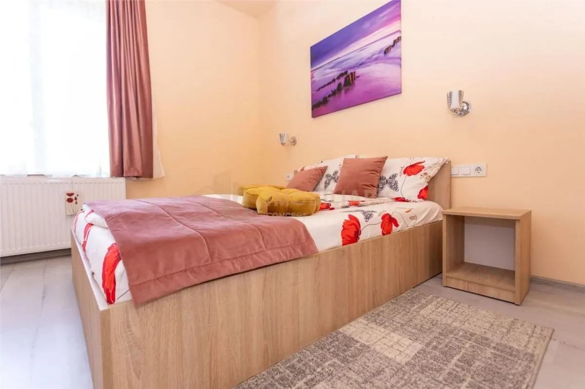 De vanzare-Pensiune 3 stele si locuinta privata - foto 5