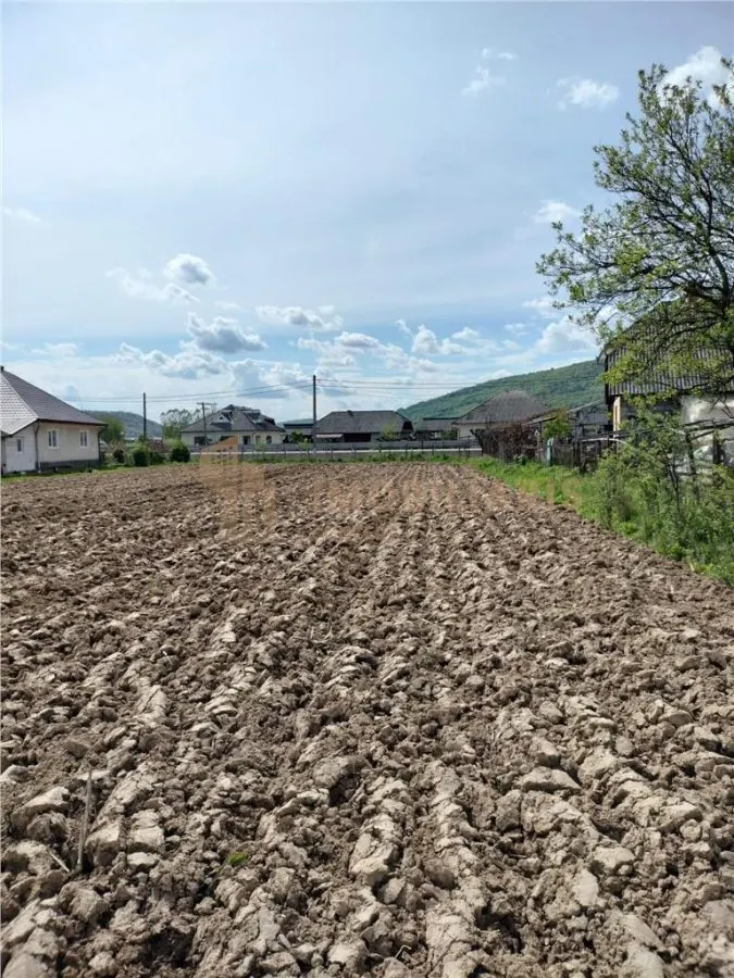 Teren intravilan  in Razoare - foto 6