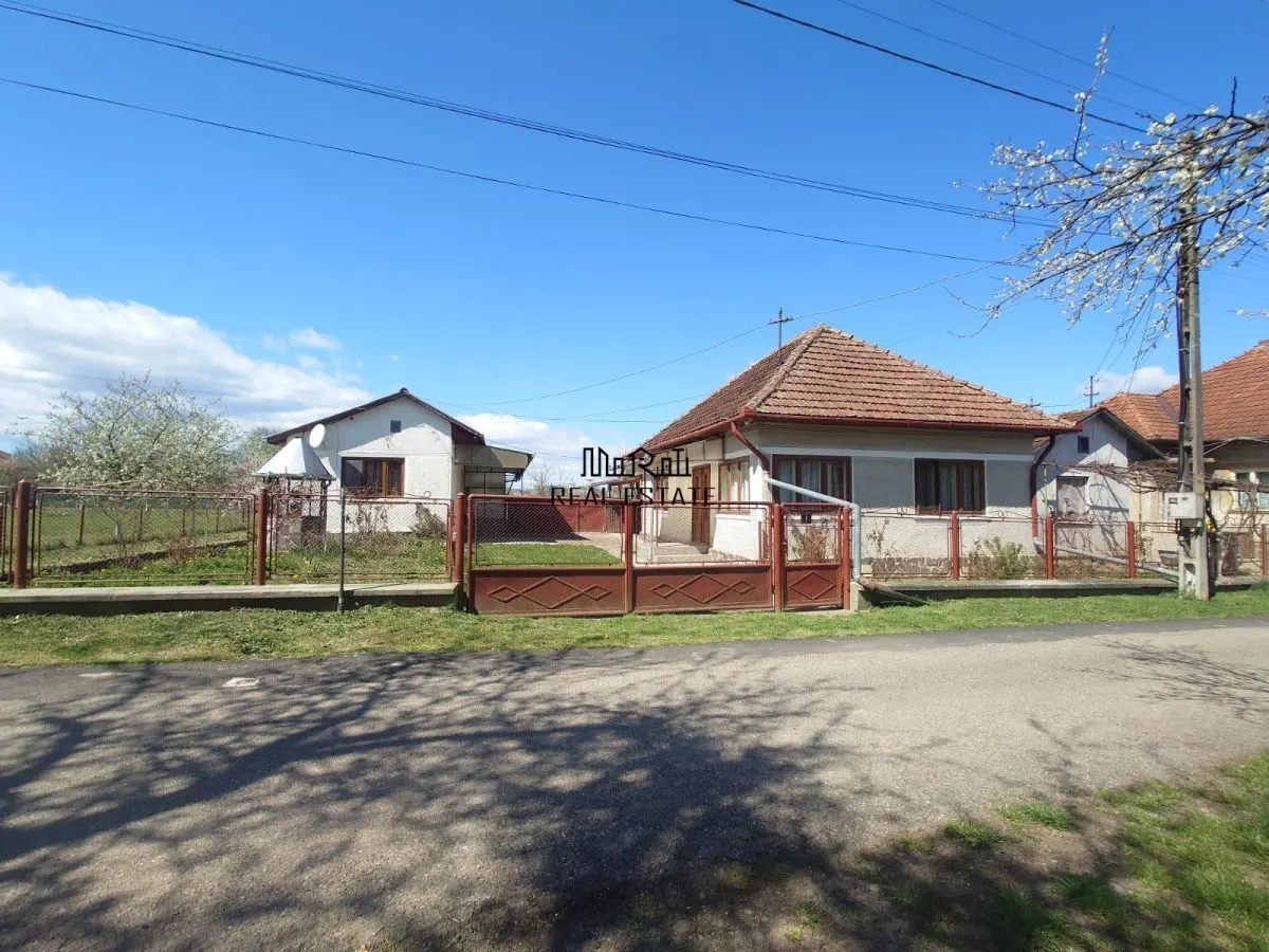 Casa si teren Baia de Cris - foto 1