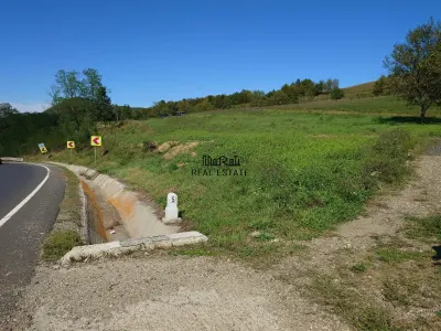 Teren intravilan 8757 mp cu acces direct la E79 - Luncoiu de Sus