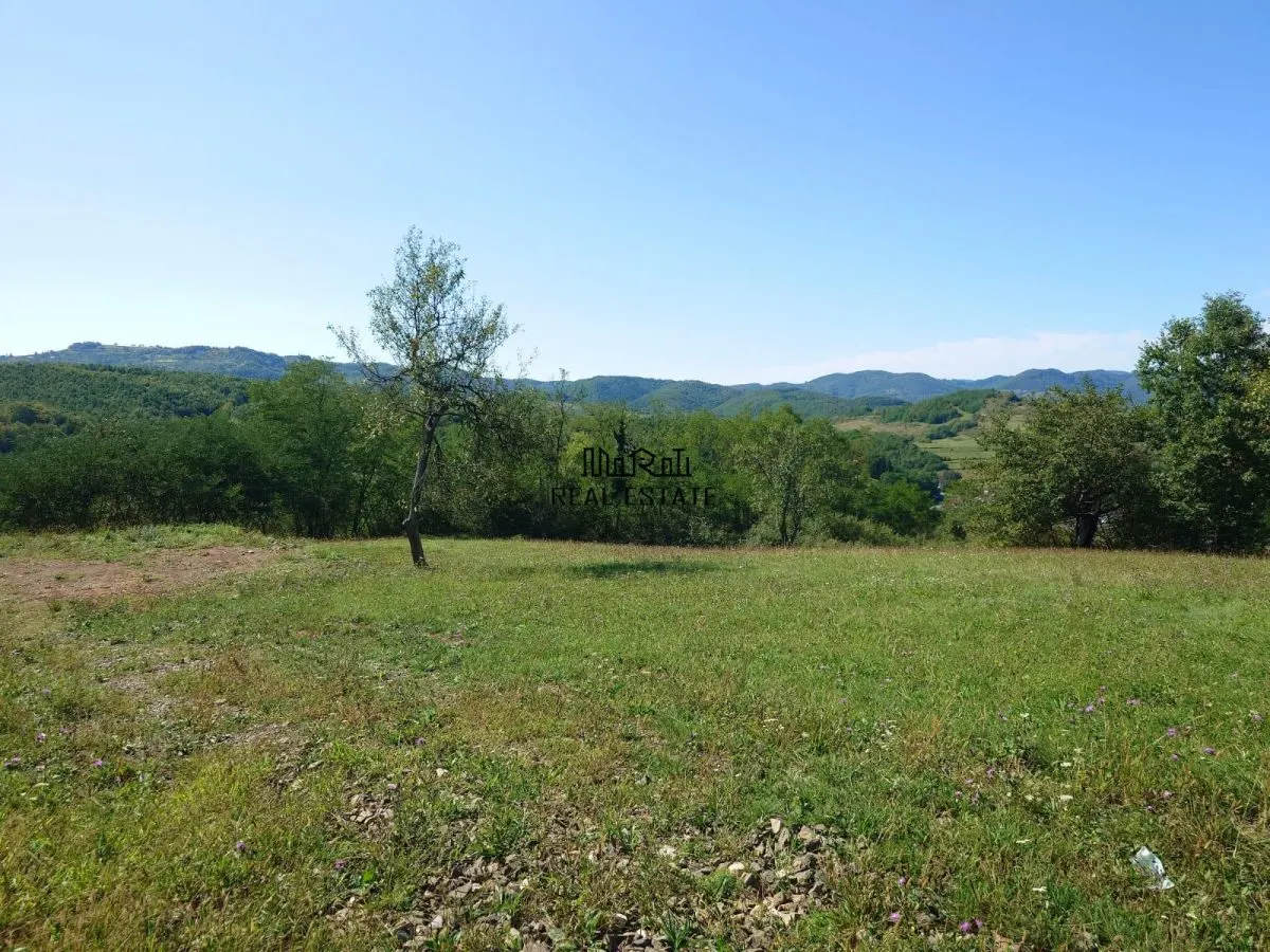 Teren intravilan 8757 mp cu acces direct la E79 - foto 3