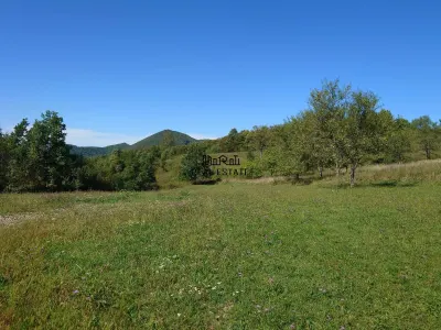 Teren intravilan 8757 mp cu acces direct la E79 - foto 4