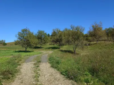 Teren intravilan 8757 mp cu acces direct la E79 - foto 7