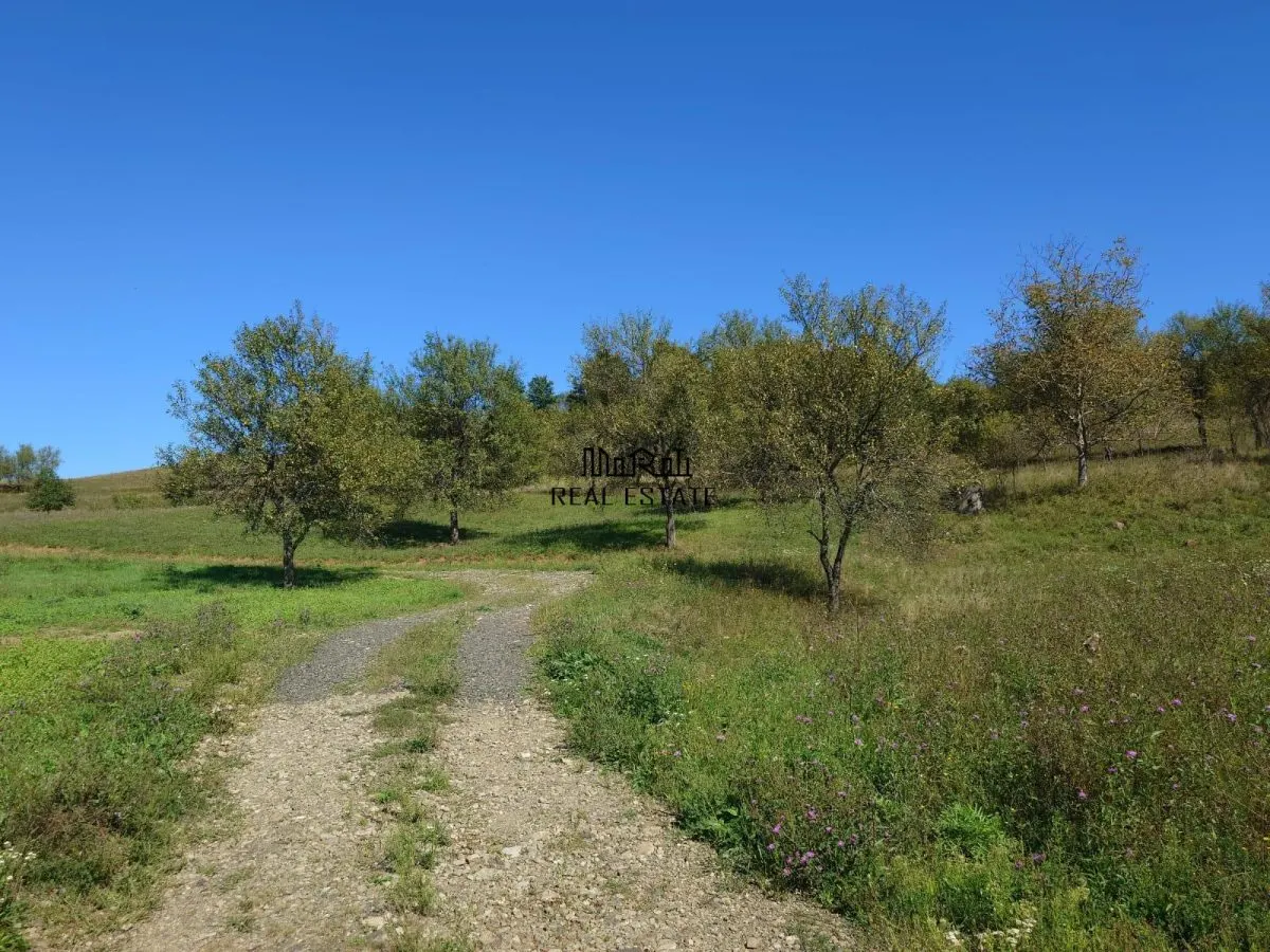Teren intravilan 8757 mp cu acces direct la E79 - foto 7