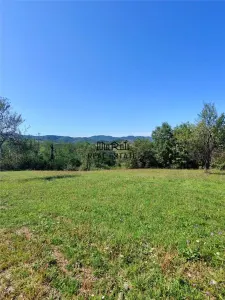 Teren intravilan 8757 mp cu acces direct la E79 - foto 9